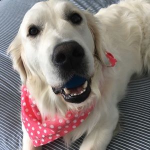 Meet your Posher, Maddie